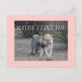 misschien briefkaart (Voorkant)