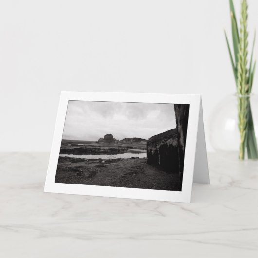 MISSCHIEN LEES U OF KAN U NIET Kaarten (Voorkant)