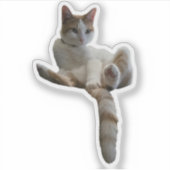 Misschien Moet Je Dat Bedekken? Kat Sticker (Voorkant)