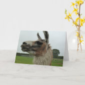 Misschien Zijn Deze Kant? De Kaart van de (Gele Bloem)