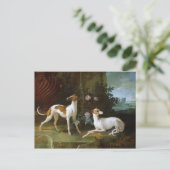 Misse en Turlu, twee windhonden van Louis XV Briefkaart (Staand voorkant)