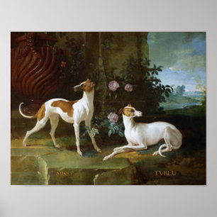 Misse en Turlu, twee windhonden van Louis XV Poster