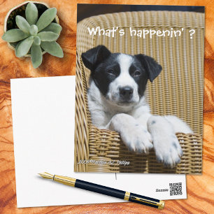 Misse Jou Schattige Zwart en Witte Puppiefoto op M Briefkaart