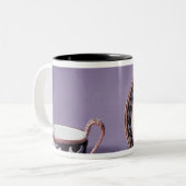Missen cup en saucer, eind 18e eeuw tweekleurige koffiemok (Voorkant links)