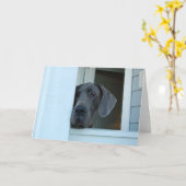 Missend kaardt u kaart (Gele Bloem)