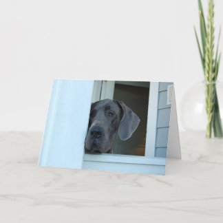 Missend kaardt u kaart