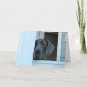 Missend kaardt u kaart (Voorkant)