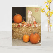 Missend u het Katje van Halloween & de Kaart van (Gele Bloem)