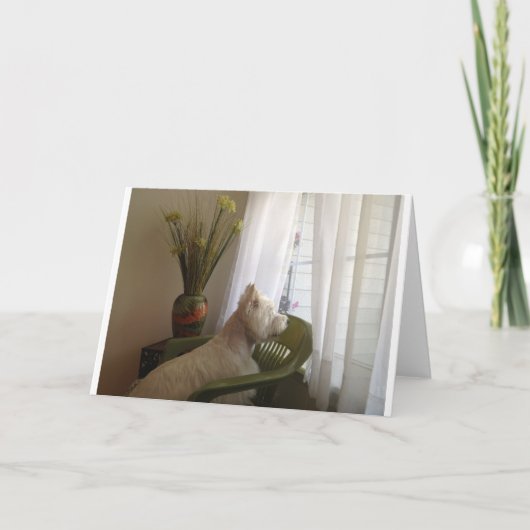 Missend u… kaart (Voorkant)