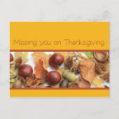 missend u Thanksgivinggebladerte Feestdagenkaart (Voorkant)