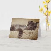 Missend u Zwarte MiniatuurSchnauzer Kaart (Gele Bloem)