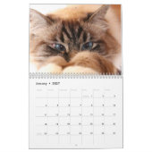 Missenell 2022-kalender kalender (Jan 2027)