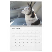 Misser Dolly Calendar Kalender (Mar 2026)