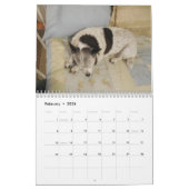 Misser Dolly Calendar Kalender (Feb 2026)