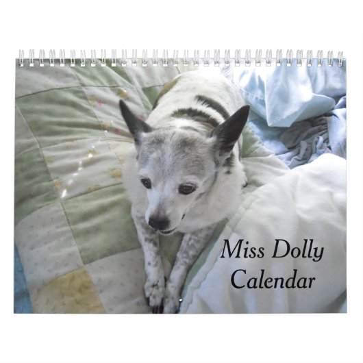 Misser Dolly Calendar Kalender (Hoes)