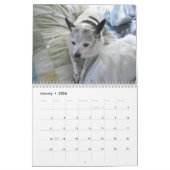 Misser Dolly Calendar Kalender (Jan 2026)