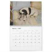 Misser Dolly Calendar Kalender (Feb 2027)