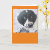 Misser Fannie - het Engelse Spaniel van de Kaart (Gele Bloem)