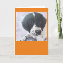 Misser Fannie - het Engelse Spaniel van de Kaart
