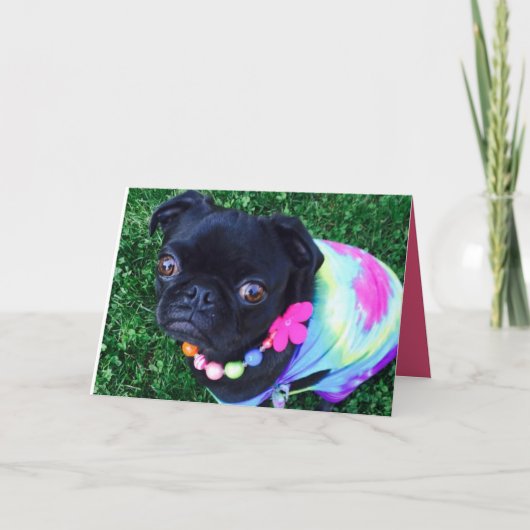 Misser Harley Wenskaart Kaart (Voorkant)