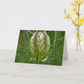 Misser Jekyll Note Card Kaart (Gele Bloem)