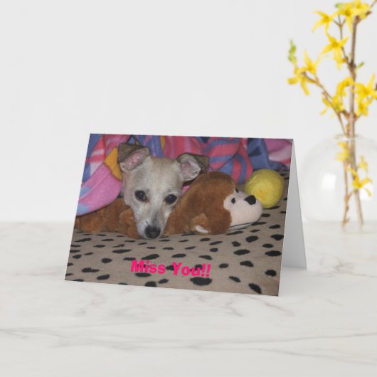 Misser u! kaart (Gele Bloem)