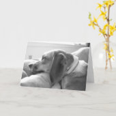 Misser u kaart (Gele Bloem)