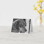 Misser U Kaart (Gele Bloem)