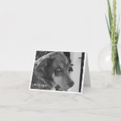 Misser U Kaart (Voorkant)