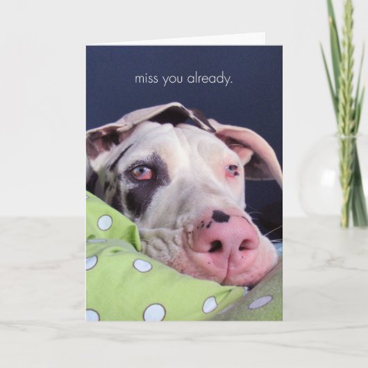 Misser You Already Kaart (Voorkant)