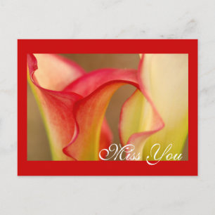 Misser You Calla Lily Postcard Briefkaart