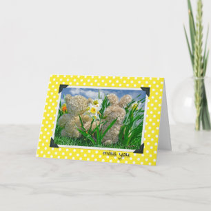 Misser You Friend Kaart