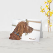 Misser You-Irish Setter in sneeuw Kaart (Gele Bloem)