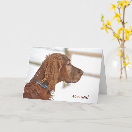 Misser You-Irish Setter in sneeuw Kaart (Gele Bloem)
