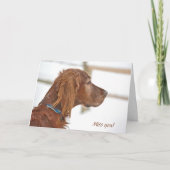 Misser You-Irish Setter in sneeuw Kaart (Voorkant)