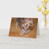 Misser You Kaart (Gele Bloem)