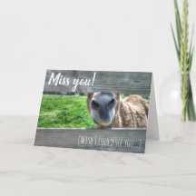 Misser You Wish I Could ziet Leeg u