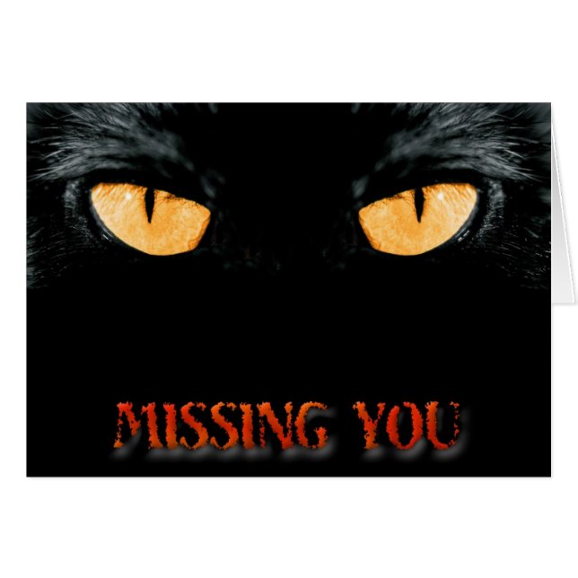 MISSING (Voorkant Horizontaal)