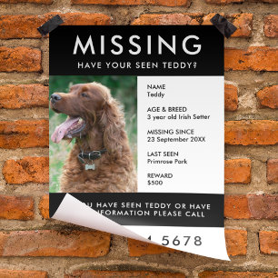 Missing Dog Poster Foto Handout Flyer