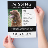 Missing Dog Poster Foto Handout Flyer (Hand)
