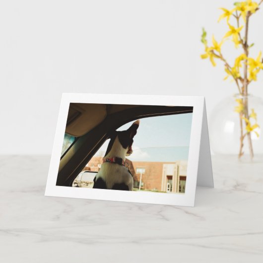 MISSING JE KAART (Gele Bloem)