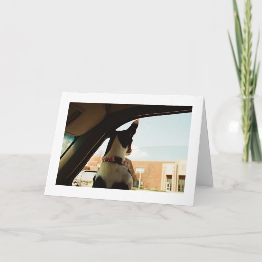 MISSING JE KAART (Voorkant)