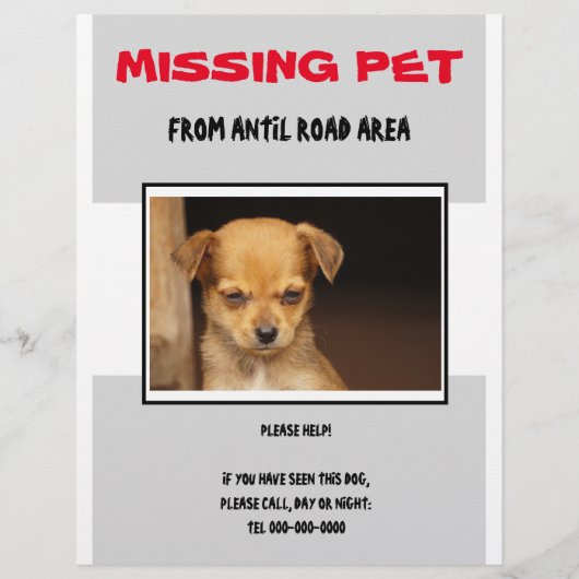 MISSING PET 02 FLYER POSTER (Voorkant)