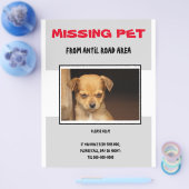 MISSING PET 02 FLYER POSTER (Enkel)