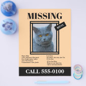Missing Pet Flyer Custom Photo, Info (Enkel)