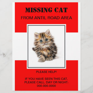 missing pet flyer,poster flyer