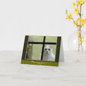 Missing You - Cat at Window Kaart (Gele Bloem)