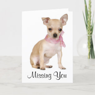 Missing You  Chihuahua Puppy Dog Greeting Card Kaart