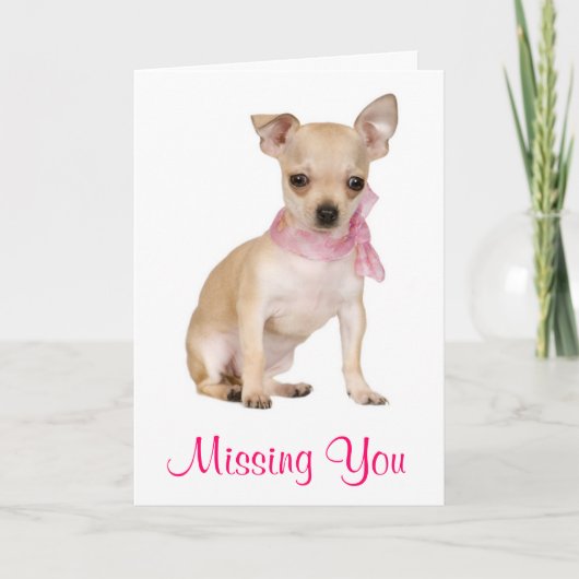 Missing You Chihuahua Puppy Dog Wenskaart Kaart (Voorkant)