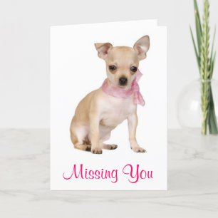 Missing You Chihuahua Puppy Dog Wenskaart Kaart